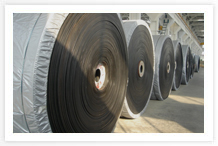 Our Services include experience and expert services in Conveyor Belt Drives