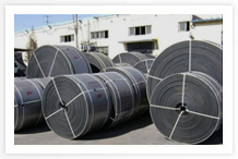 Our Services include experience and expert services in Conveyor Belt Drives